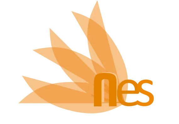 nes